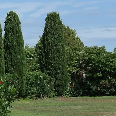 Apartment Studette In Saint-tropez, With Wonderful Park View And Pool Access - 8 Saint-Tropez